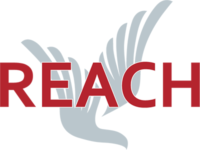 REACH（リーチ）~身体の調整
