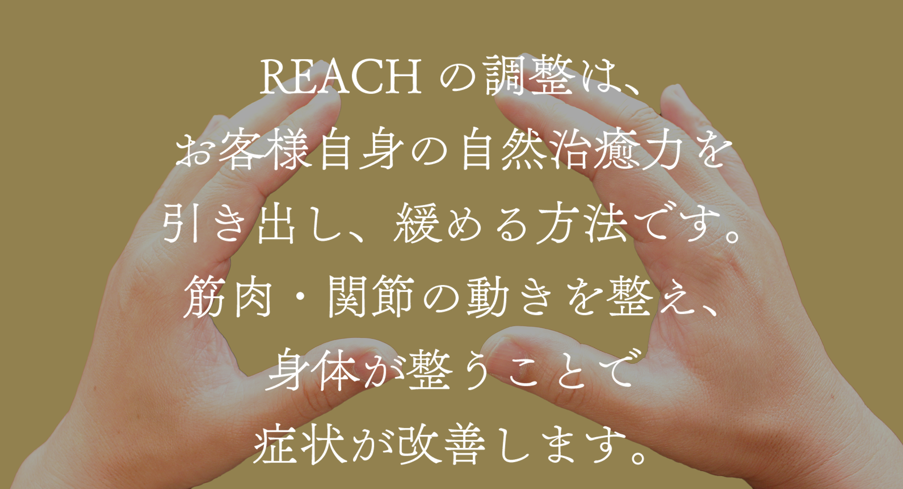 REACH（リーチ）~身体の調整