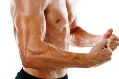 筋肉が水分の貯蔵庫て知っていますか？